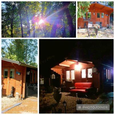 Chalet Op Een Rustig Park In De Natuur Putten Exterior foto
